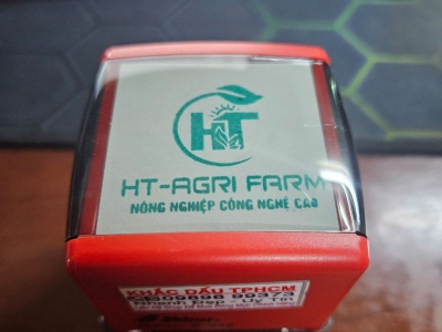 Công Ty Khắc Dấu Lấy Nhanh - Uy Tín, Bảo Hành 12 Tháng