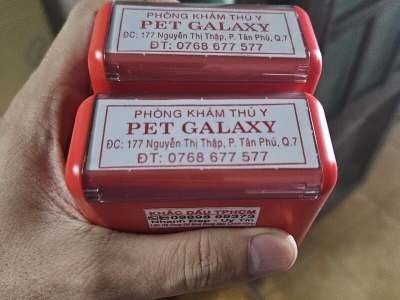 Liên hệ ngay công ty khắc dấu nhanh Gia Lai giá rẻ