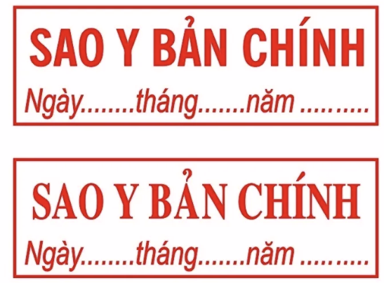 lam-moc-dau-sao-y-ban-chinh-cong-ty-2